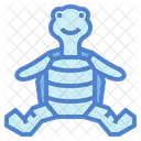 Tortuga  Icon