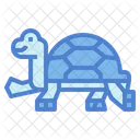 Tortuga  Icon