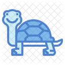 Tortuga  Icon