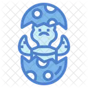 Tortuga  Icon