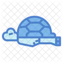 Tortuga  Icon