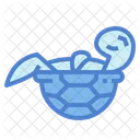 Tortuga  Icon