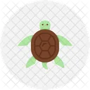 Tortuga  Icon