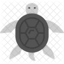 Tortuga  Icono