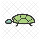 Tortuga Icon