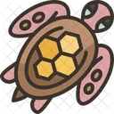 Tortuga Fauna Animal Icon