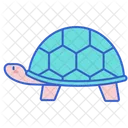 Tortuga Tortuga Animal Icon