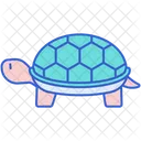 Tortuga  Icon