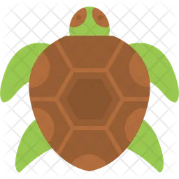 Tortuga  Icono