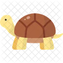 Tortuga  Icono