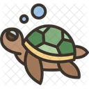 Tortuga  Icono