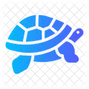 Tortuga Animal Reino Icon