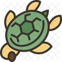 Tortuga  Icono