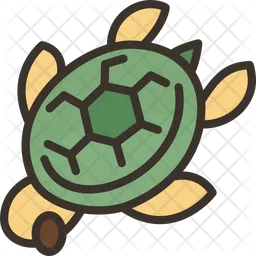 Tortuga  Icono