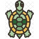 Tortuga Mascota Reptil Icono