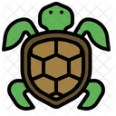 Tortuga Animal Tortuga Icon