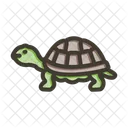 Tortuga Animal Mar Icon