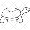 Tortuga de caja  Icono