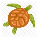 Iconos De Tortuga Tortuga Plana Tortuga Icono