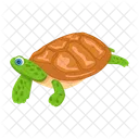 Iconos De Tortuga Tortuga Plana Tortuga Icono