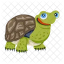 Iconos De Tortuga Tortuga Plana Tortuga Icono