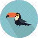 Toucan Bird Chordata Icon