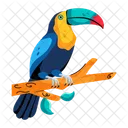 Toucan Ramphastos Exotic Bird Icon
