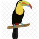 Toucan Wildlife Bird Icon
