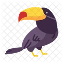 Toucan Bird Animal Icon