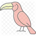 Toucan Bird Tropical Icon