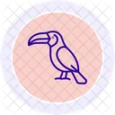 Toucan Bird Tropical Icon