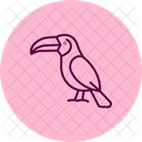 Toucan Bird Tropical Icon