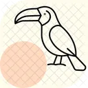 Toucan Bird Tropical Icon