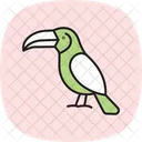 Toucan Bird Tropical Icon