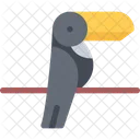 Toucan Bird Icon