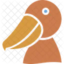 Hummingbird Toucan Bird Icon