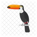 Toucan Bird Parrot Icon