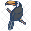 Toucan Zoology Bird Icon