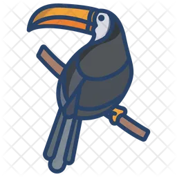 Toucan  Icon