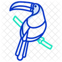 Toucan Zoology Bird Icon