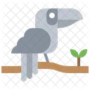 Toucan Icon