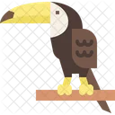 Toucan Tropical Bird Icon