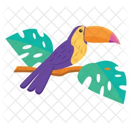 Toucan  Icon