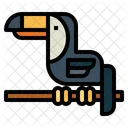 Toucan Bird Animals Icon