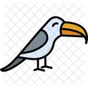 Toucan Animal Bird Icon