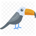 Toucan Animal Bird Icon