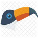 Toucan Pelican Bird Icon