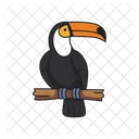 Toucan Bird Animal Icon