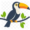 Toucan Bird Animal Icon