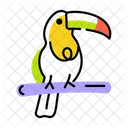 Toucan Bird  Icon